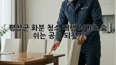 평창군 화분 청소 대행 서비스: 숨 쉬는 공간 되찾기